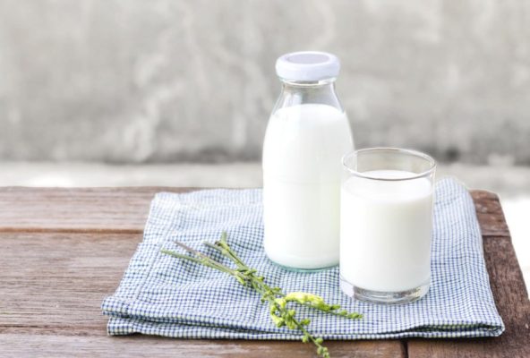Thực phẩm giàu canxi cho người cao tuổi bị loãng xương