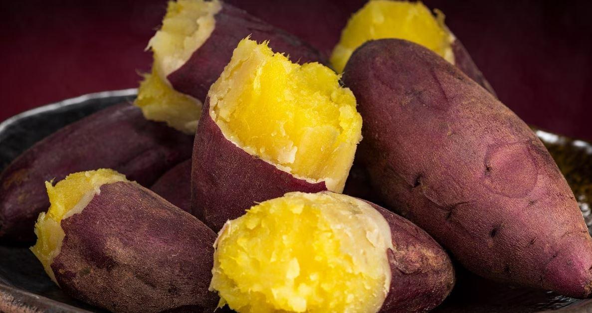 Giá viện dưỡng lão ở hà nội